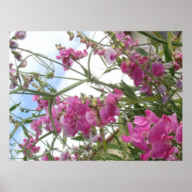 Póster doçura (Frente)