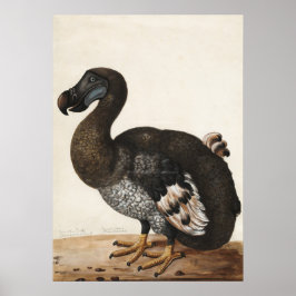 Poster Dodo Bird Vintage