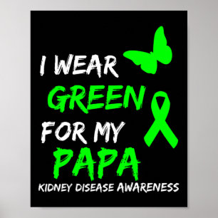 Poster Doença Renal Eu Visto Verde Para Meu Papa Friso
