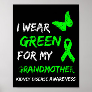 Poster Doença Renal Eu Visto Verde Para Minha Avó Rib