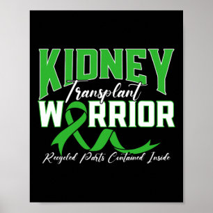 Poster Doente com Doença Renal Renal Transplantado