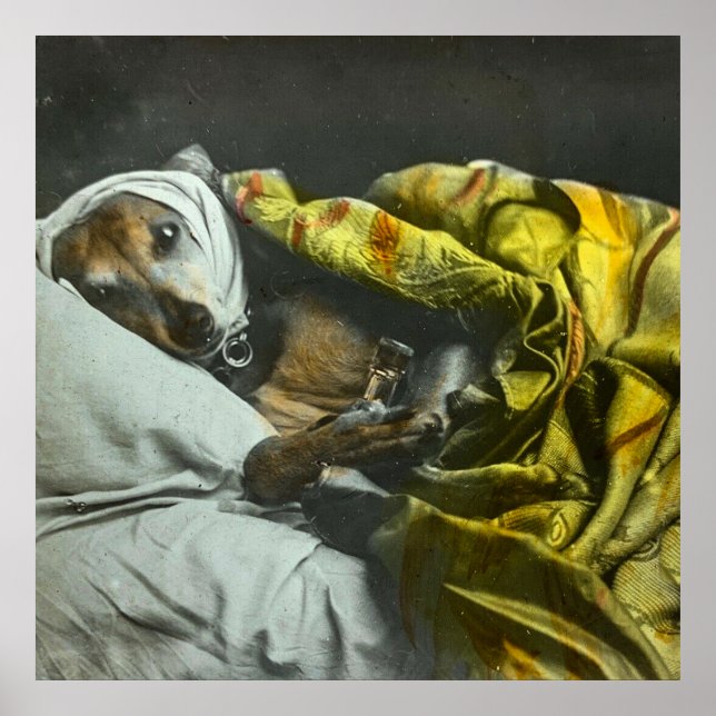 Poster Doente como cão Vintage Lanterna Mágica (Frente)