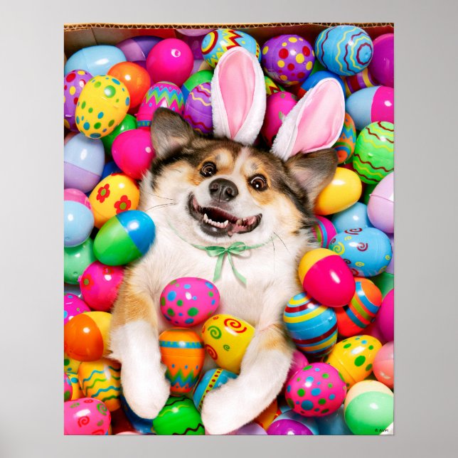 Poster Dog Laying on Easter Eggs (Frente)