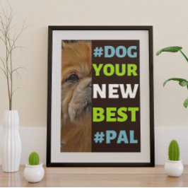 Poster #Dog, o seu novo melhor #Pal... espanhol tibetano