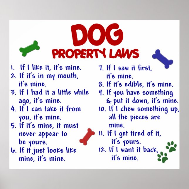 POSTER DOG PL2 (Frente)