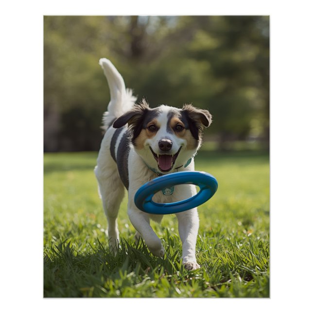 PÓSTER DOG POSTER (Frente)