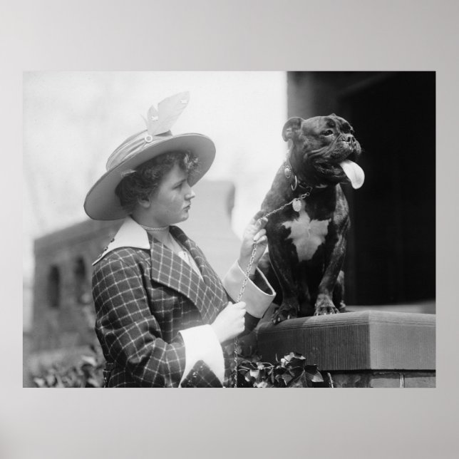 Poster Dog Show de 1915 (Frente)