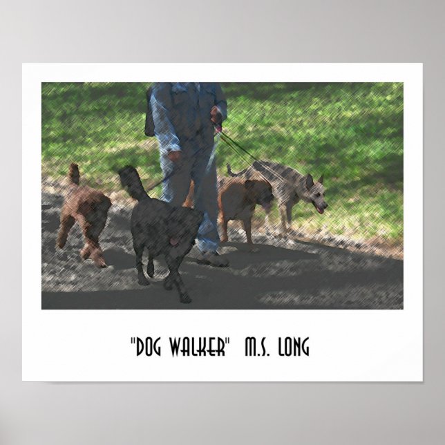 Poster Dog Walker (Frente)