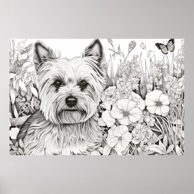 Poster Dog Yorkshire Terrier Peaceful Nature Pet (Frente)