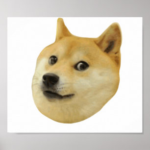 Póster Doge muito wow muito cão tal Shiba Shibe Inu