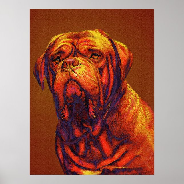 Póster dogue de bordeaux (Frente)
