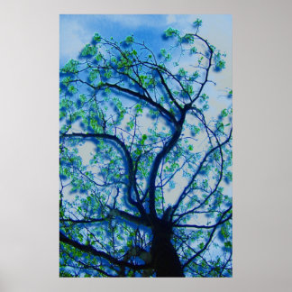 Póster Dogwood Rendition III