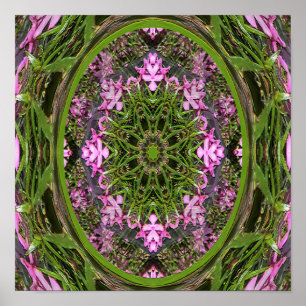 Poster Doily de Primavera....