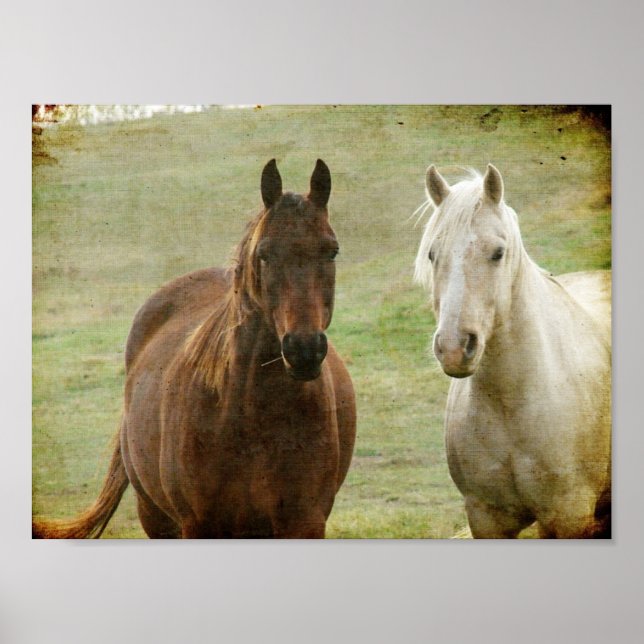 Poster Dois Amigos de Cavalo (Frente)