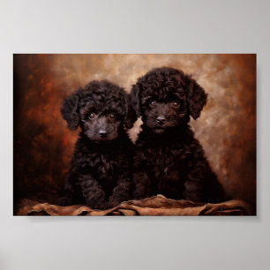 Poster Dois cachorros de Poodle Preto
