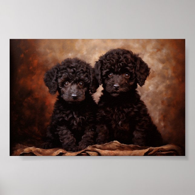 Poster Dois cachorros de Poodle Preto (Frente)