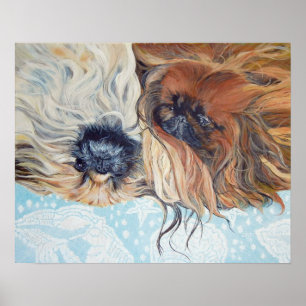 Poster Dois Cães Pekingeses