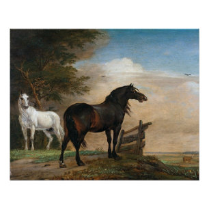 Póster Dois Cavalos em pasto