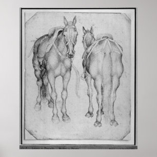 Póster Dois cavalos, o do álbum de Vallardi