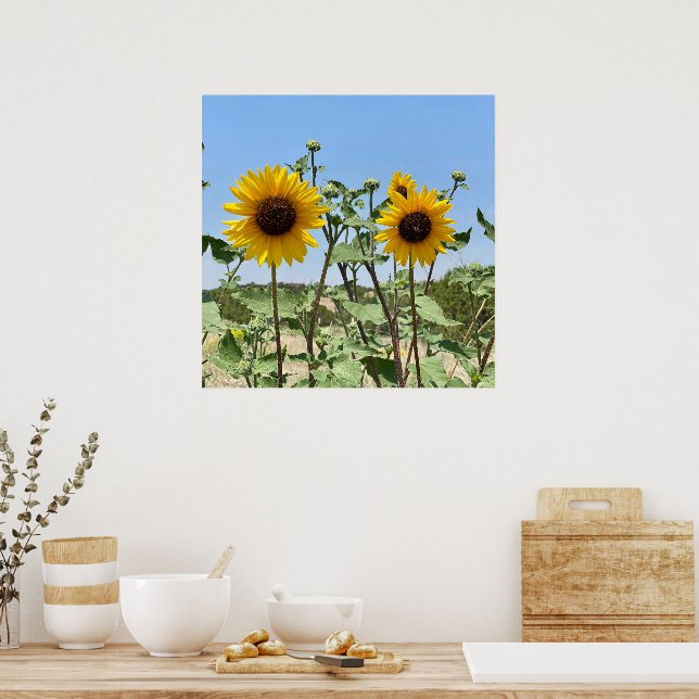 Poster Dois Céu Azul Sol (Cozinha)