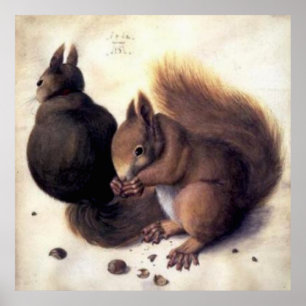 Póster "Dois esquilos" por Albrecht Dürer