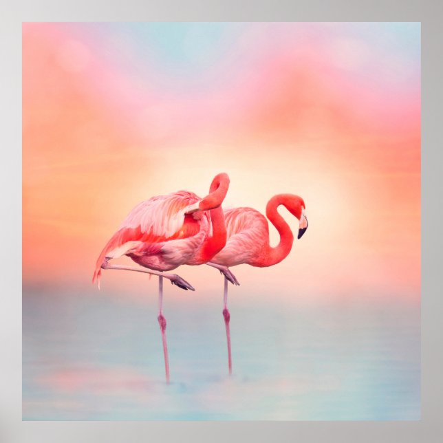 Poster Dois flamingos cor-de-rosa na água do sunsetflamin (Frente)