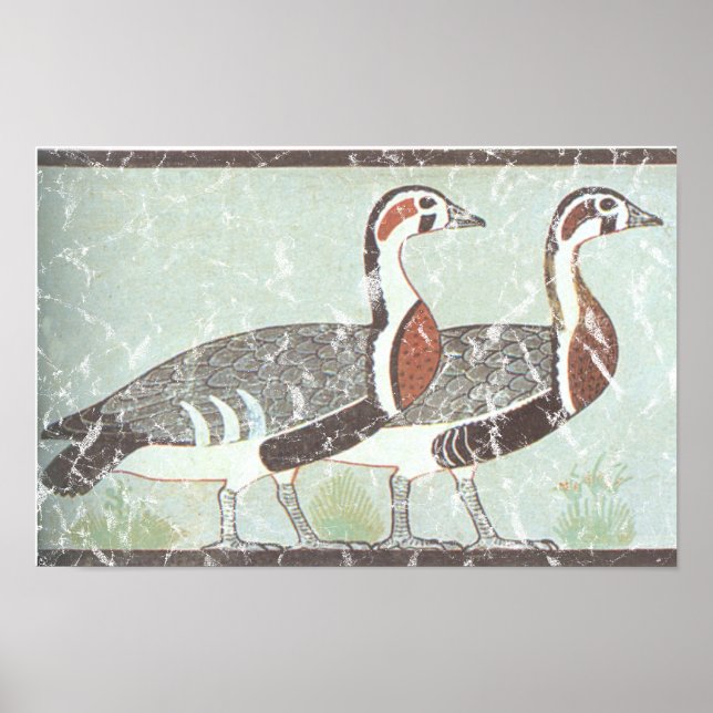Poster Dois gansos (Frente)