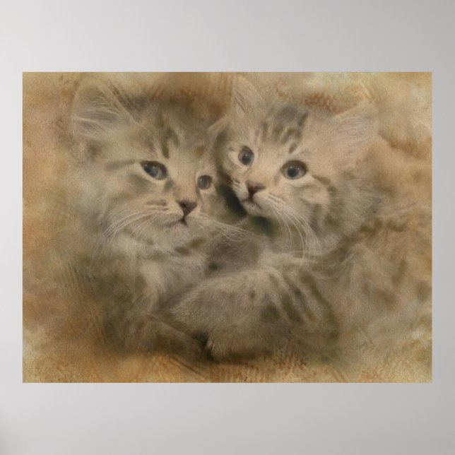 Poster Dois Gatinhos De Cinza Cortada Em Aquarela (Frente)