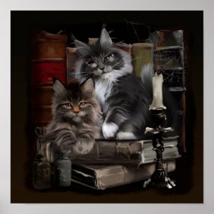 Poster Dois gatinhos peludos de Maine Coon