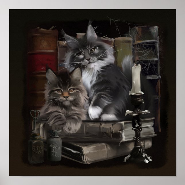 Poster Dois gatinhos peludos de Maine Coon (Frente)