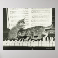 Dois gatinhos tocando no teclado de piano, (B&W)