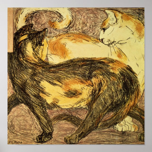 Poster Dois Gatos (Frente)