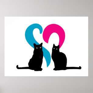 Póster Dois gatos apaixonados