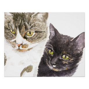 Póster Dois gatos - tabby e tortie