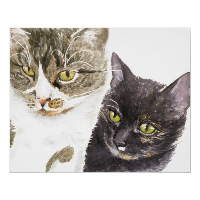 Póster Dois gatos - tabby e tortie (Frente)