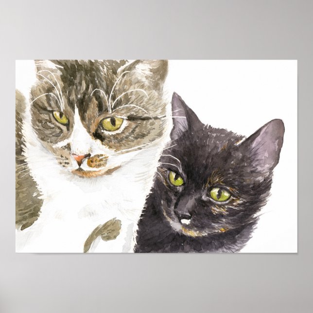 Poster Dois gatos - tabby e tortie (Frente)