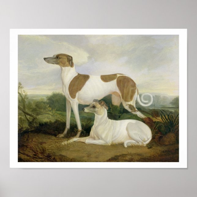Poster Dois Greyhounds em uma paisagem (óleo na canvas) (Frente)