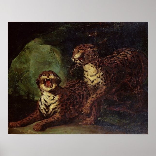 Poster Dois Leopardos, c. 1820 (Frente)