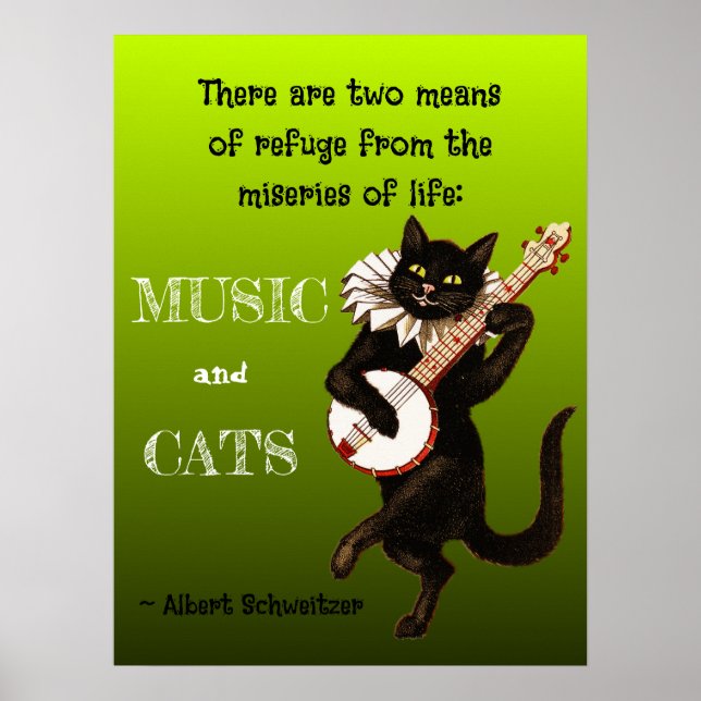 Poster dois meios de refúgio, o Music Cats Schweitzer (Frente)