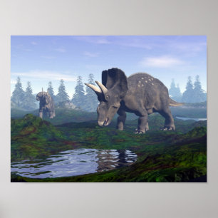 Poster Dois nedoceratops/diceratops dinossauros andando