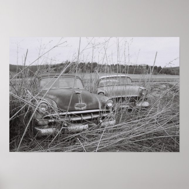 Póster Dois olhares que onde os deuses (Frente)