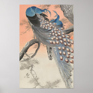 Poster Dois Peacocks na Ramificação das Árvores por Ohara