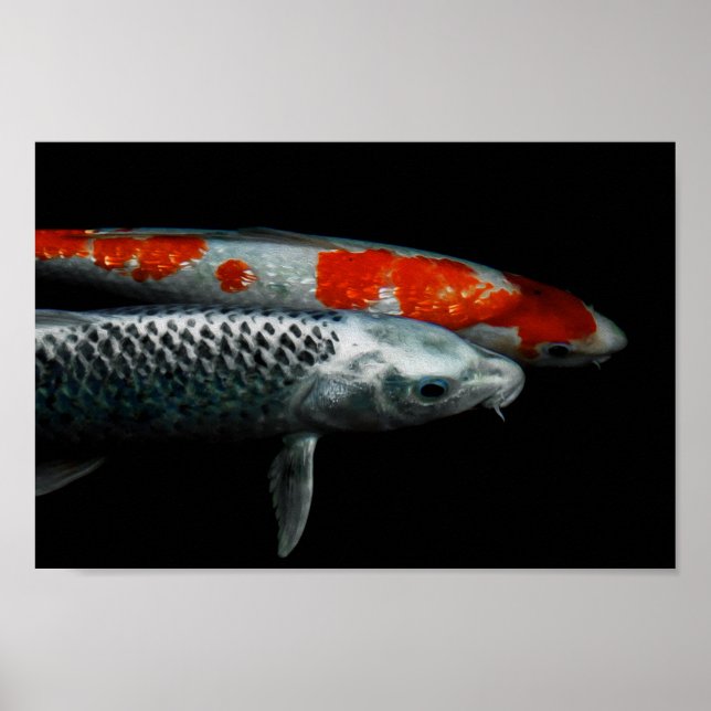 Poster Dois Peixes (Frente)