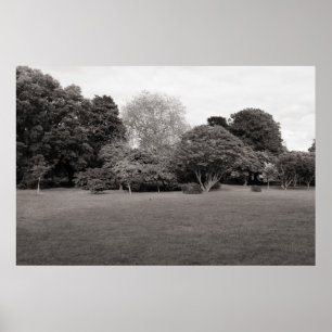 Poster Dois pela alegria (Tonelada Quente)