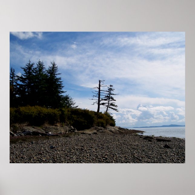 Póster Dois pontos de árvore (Frente)