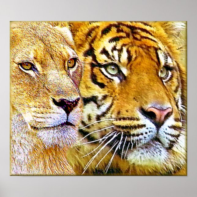 Póster Dois Poster_focados (Frente)