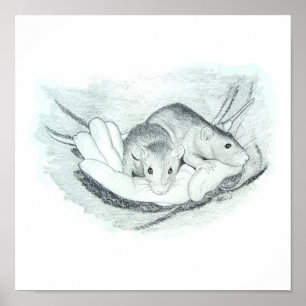 Póster Dois ratos na mão