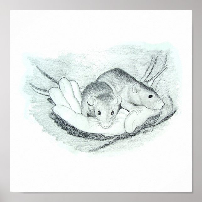 Póster Dois ratos na mão (Frente)