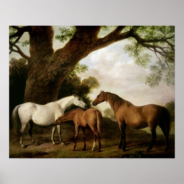 Poster Dois Shafto Mares e um Foal, 1774 (Frente)