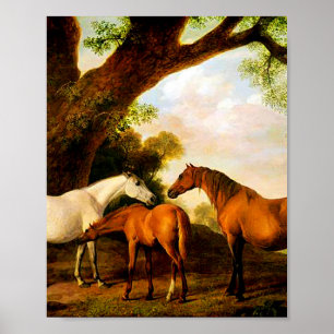 Poster Dois Shafto Mares e um Foal de George Stubbs